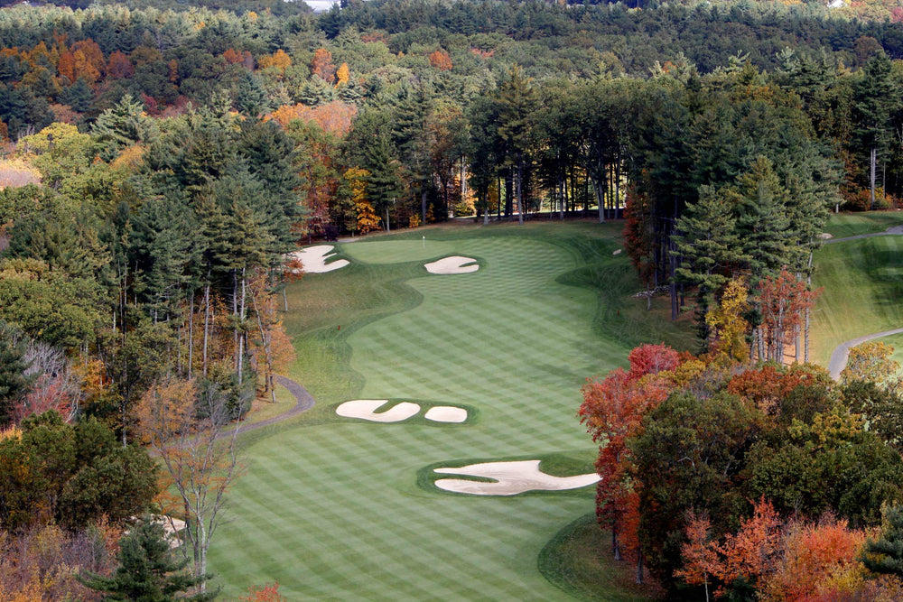 Charter Oak CC 2024 Father's Day Page 2 Turtleson Events