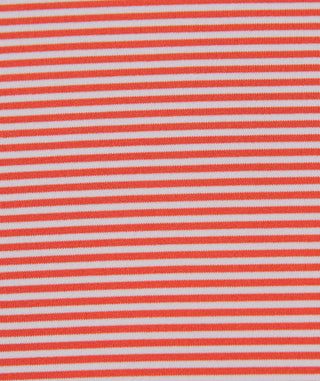 Carter Stripe Performance Polo