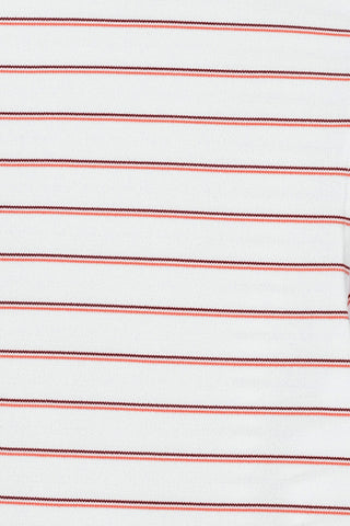 Tian Stripe Polo
