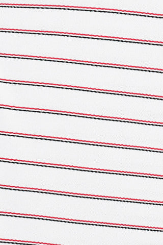Tian Stripe Polo