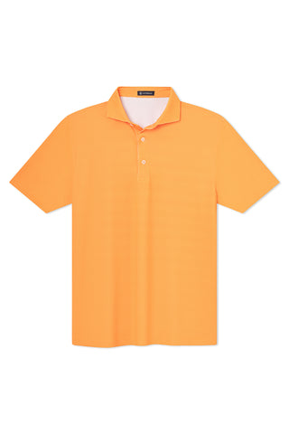 Alex Polo