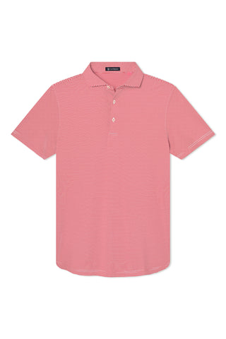 Collier Stripe Polo