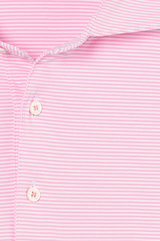 Collier Stripe Polo