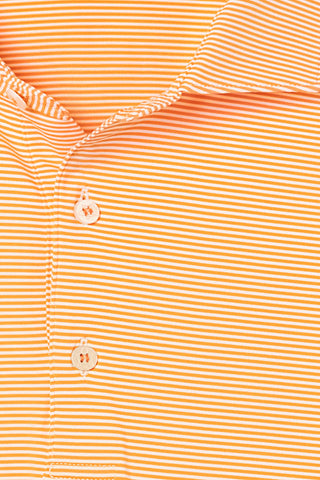 Collier Stripe Polo