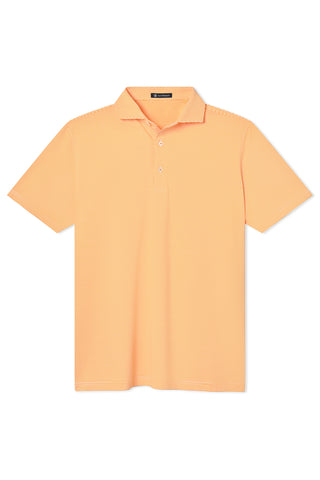 Collier Stripe Polo