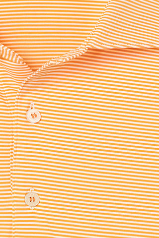 Collier Stripe Polo