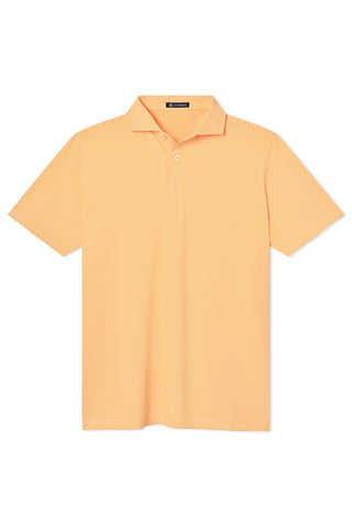 Collier Stripe Polo