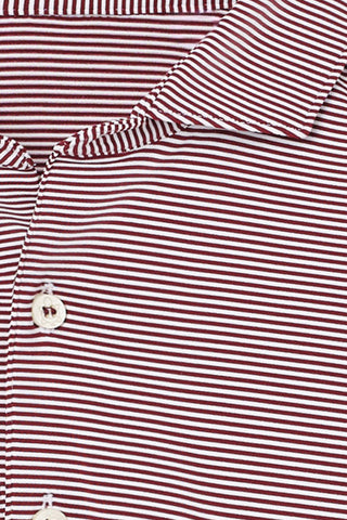 Collier Stripe Polo