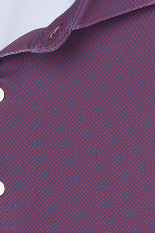 Bruce Polo
