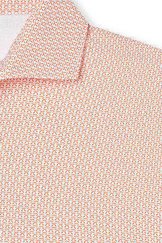 Ozzie Polo