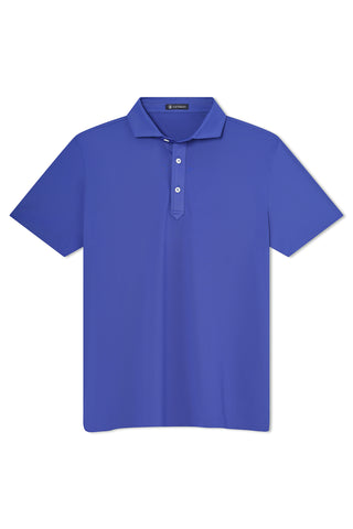 Hayes Polo