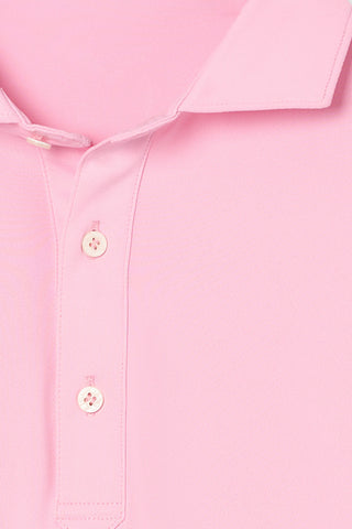 Hayes Polo