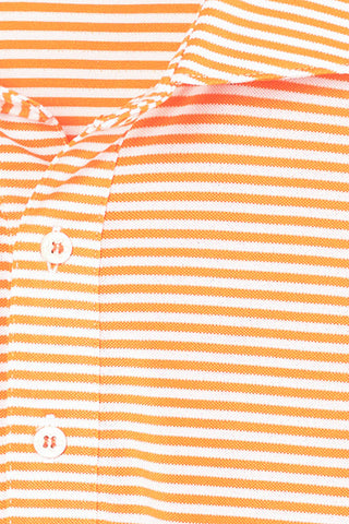Hardy Stripe Polo
