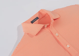 Carter Stripe Performance Men's Polo, Long Sleeve - Collar Clementine - Turtleson